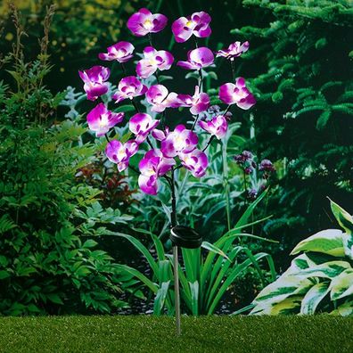 LED Solar Gartenstecker Orchidee ca 75 cm Gartenleuchte Gartendeko