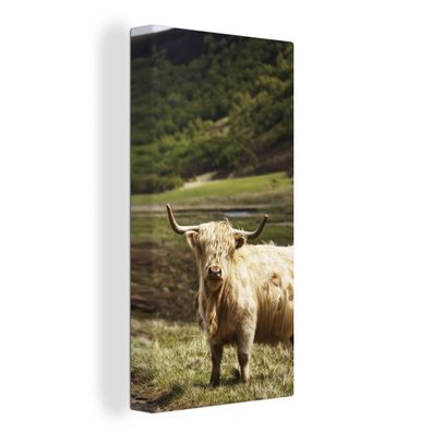 Leinwand Bilder - 80x160 cm - Schottisches Hochlandrind - Pfad - Wald