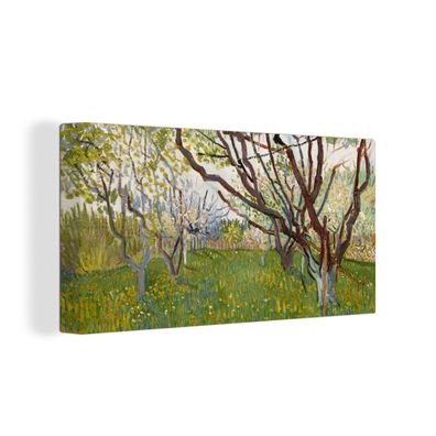 Leinwandbilder - 80x40 cm - Der blühende Obstgarten - Vincent van Gogh