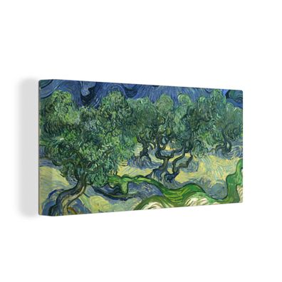 Leinwandbilder - 40x20 cm - Die Olivenbäume - Vincent van Gogh