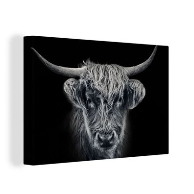 Leinwandbilder - 30x20 cm - Schottisches Hochlandrind - Schwarz - Haar