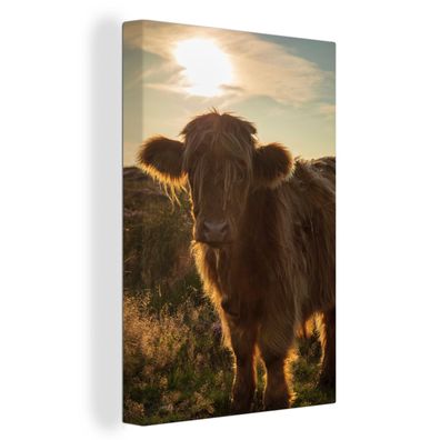 Leinwandbilder - 60x90 cm - Schottisches Hochlandrind - Sonnenuntergang - Gras
