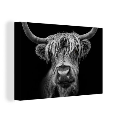 Leinwand Bilder - 120x80 cm - Schottisches Hochlandrind - Hörner - Schwarz - Weiß