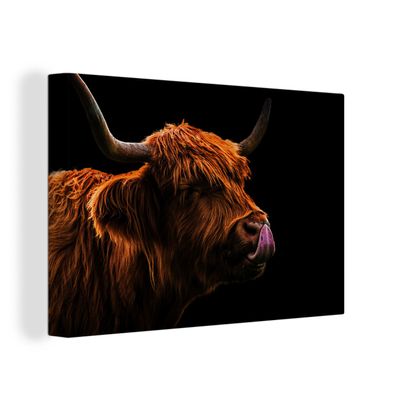 Leinwand Bilder - 120x80 cm - Schottisches Hochlandrind - Zunge - Nase