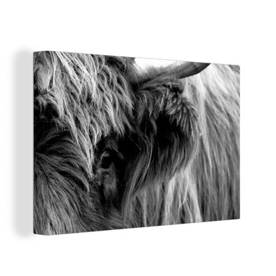 Leinwand Bilder - 150x100 cm - Scottish Highlander - Auge - Schwarz - Weiß