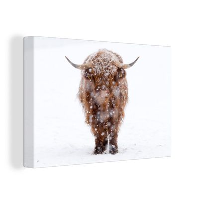 Leinwand Bilder - 120x80 cm - Schottisches Hochlandrind - Kuh - Schnee