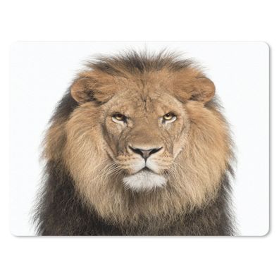 Mauspad - Löwe - Weiß - Makro - 40x30 cm