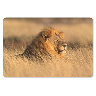 Schreibtischunterlage - Wilde Tiere - Gras - Afrika - 60x40 cm - Mauspad