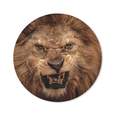 Mauspad - Wilde Tiere - Löwe - Porträt - 20x20 cm