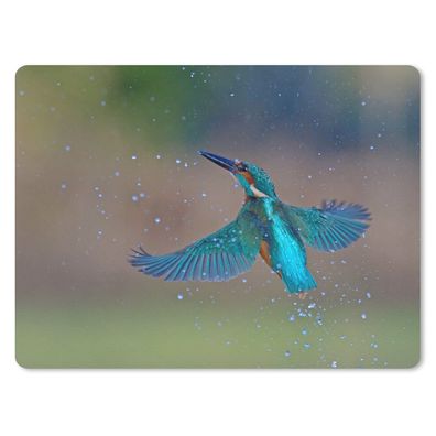 Mauspad - Eisvogel - Fliegen - Blau - 23x19 cm