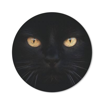 Mauspad - Nahaufnahme einer schwarzen Katze - 20x20 cm