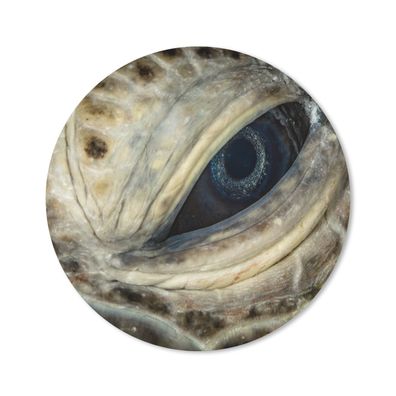 Mauspad - Nahaufnahme Hawksbill-Auge - 20x20 cm