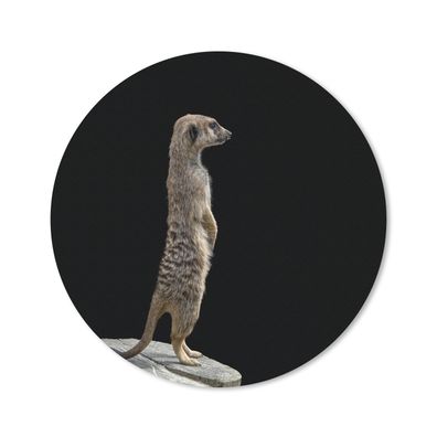 Mauspad - Erdmännchen - Wilde Tiere - Schwarz - 20x20 cm