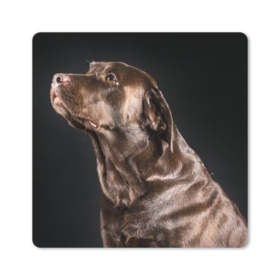 Mauspad - Hund - Braun - Porträt - 20x20 cm