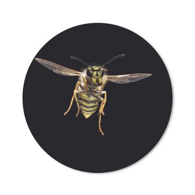 Mauspad - Wespe - Insekten - Porträt - 20x20 cm
