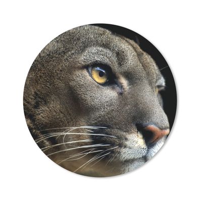 Mauspad - Puma - Wilde Tiere - Porträt - 20x20 cm