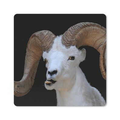 Mauspad - Bok - Tiere - Hoorn - 20x20 cm