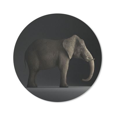 Mauspad - Elefant - Tiere - Licht - 20x20 cm