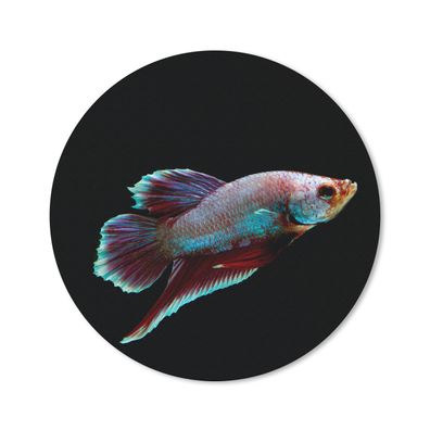 Mauspad - Fische - Tiere - Licht - 20x20 cm