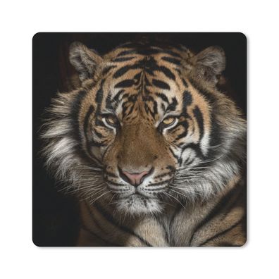 Mauspad - Tiger - Wilde Tiere - Porträt - 20x20 cm
