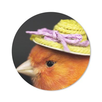 Mauspad - Vogel - Hut - Orange - 20x20 cm