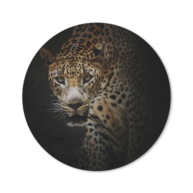 Mauspad - Leopard - Wilde Tiere - Licht - 20x20 cm