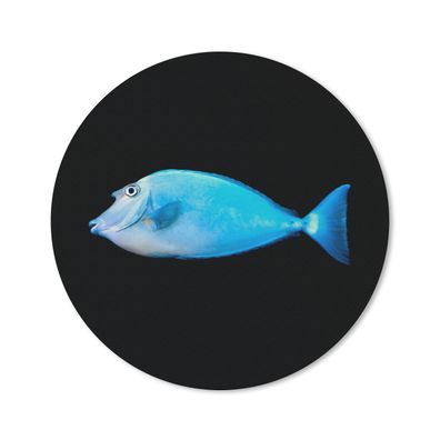 Mauspad - Fische - Meerestiere - Schwarz - 20x20 cm