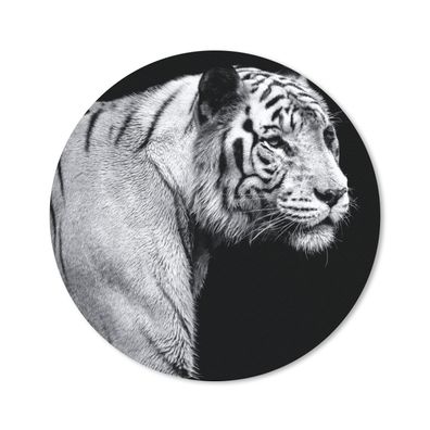 Mauspad - Tiger - Wilde Tiere - Licht - 20x20 cm