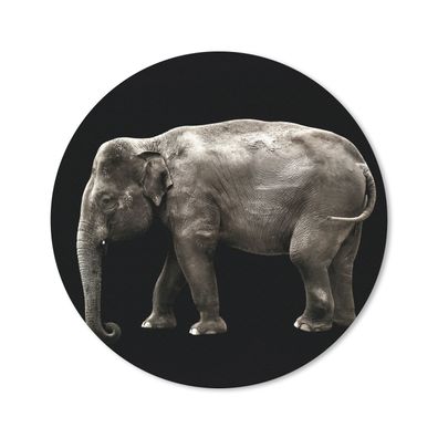 Mauspad - Elefant - Wilde Tiere - Schwarz - 20x20 cm
