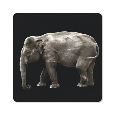 Mauspad - Elefant - Wilde Tiere - Schwarz - 20x20 cm