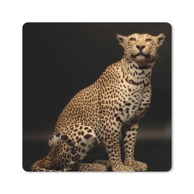 Mauspad - Leopard - Tiere - Fleck - 20x20 cm