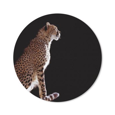 Mauspad - Gepard - Tiere - Licht - 40x40 cm