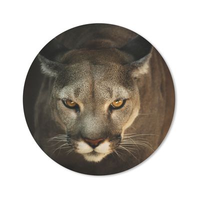 Mauspad - Nahaufnahme Puma - 40x40 cm