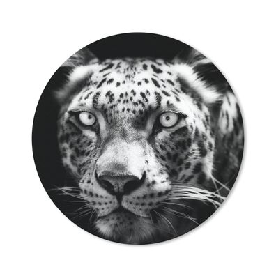 Mauspad - Nahaufnahme Persischer Leopard vor schwarzem Hintergrund in schwarz und wei