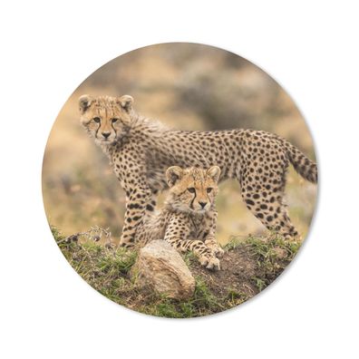 Mauspad - Leoparden - Jungtiere - Natur - 20x20 cm