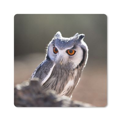 Mauspad - Eule - Makro - Tier - 20x20 cm