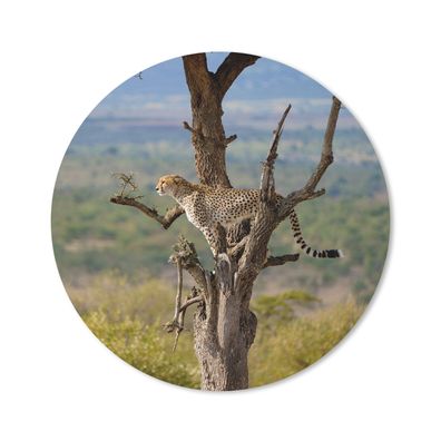 Mauspad - Leopard - Baum - Tier - 20x20 cm