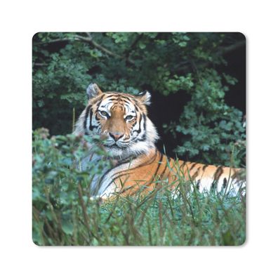 Mauspad - Tiger - Gras - Grün - 20x20 cm