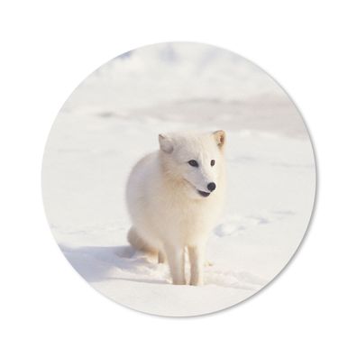Mauspad - Fuchs - Schnee - Weiß - 20x20 cm