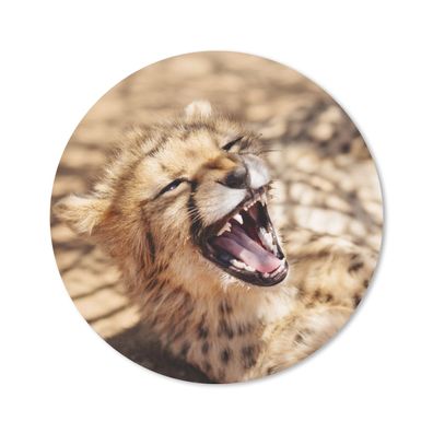 Mauspad - Gepard - Tier - Nahaufnahme - 20x20 cm