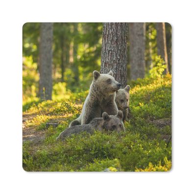 Mauspad - Bär - Braun - Wald - 20x20 cm