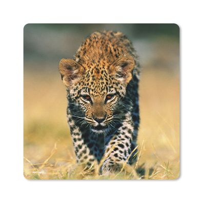 Mauspad - Leopard - Makro - Gras - 20x20 cm