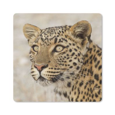 Mauspad - Leopard - Makro - Braun - 20x20 cm