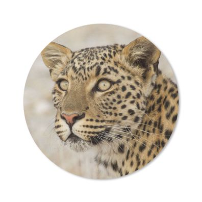 Mauspad - Leopard - Makro - Braun - 20x20 cm