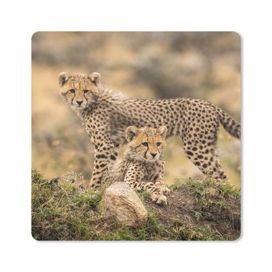 Mauspad - Leoparden - Jungtiere - Natur - 20x20 cm