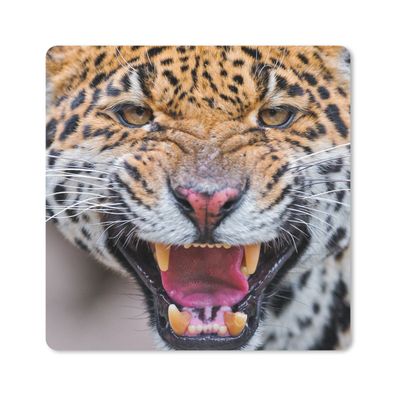 Mauspad - Jaguar - Makro - Tier - 20x20 cm