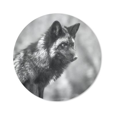 Mauspad - Fuchs - Schwarz - Weiß - 20x20 cm