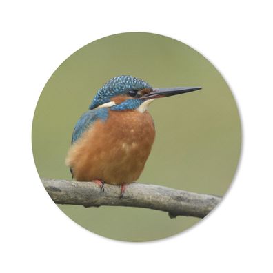 Mauspad - Eisvogel - Orange - Zweige - 20x20 cm