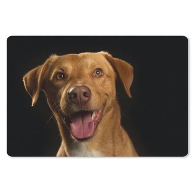 Mauspad - Hund - Haustiere - Porträt - 27x18 cm