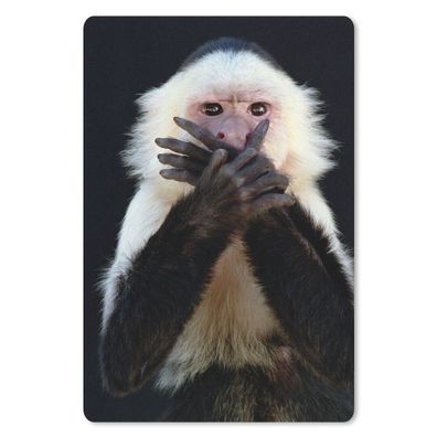 Mauspad - Affe - Wilde Tiere - Porträt - 18x27 cm
